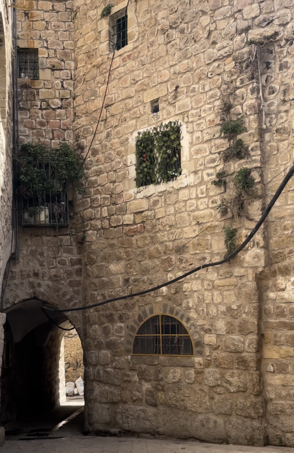 Hidden Pain & a New Kind of&nbsp;Love